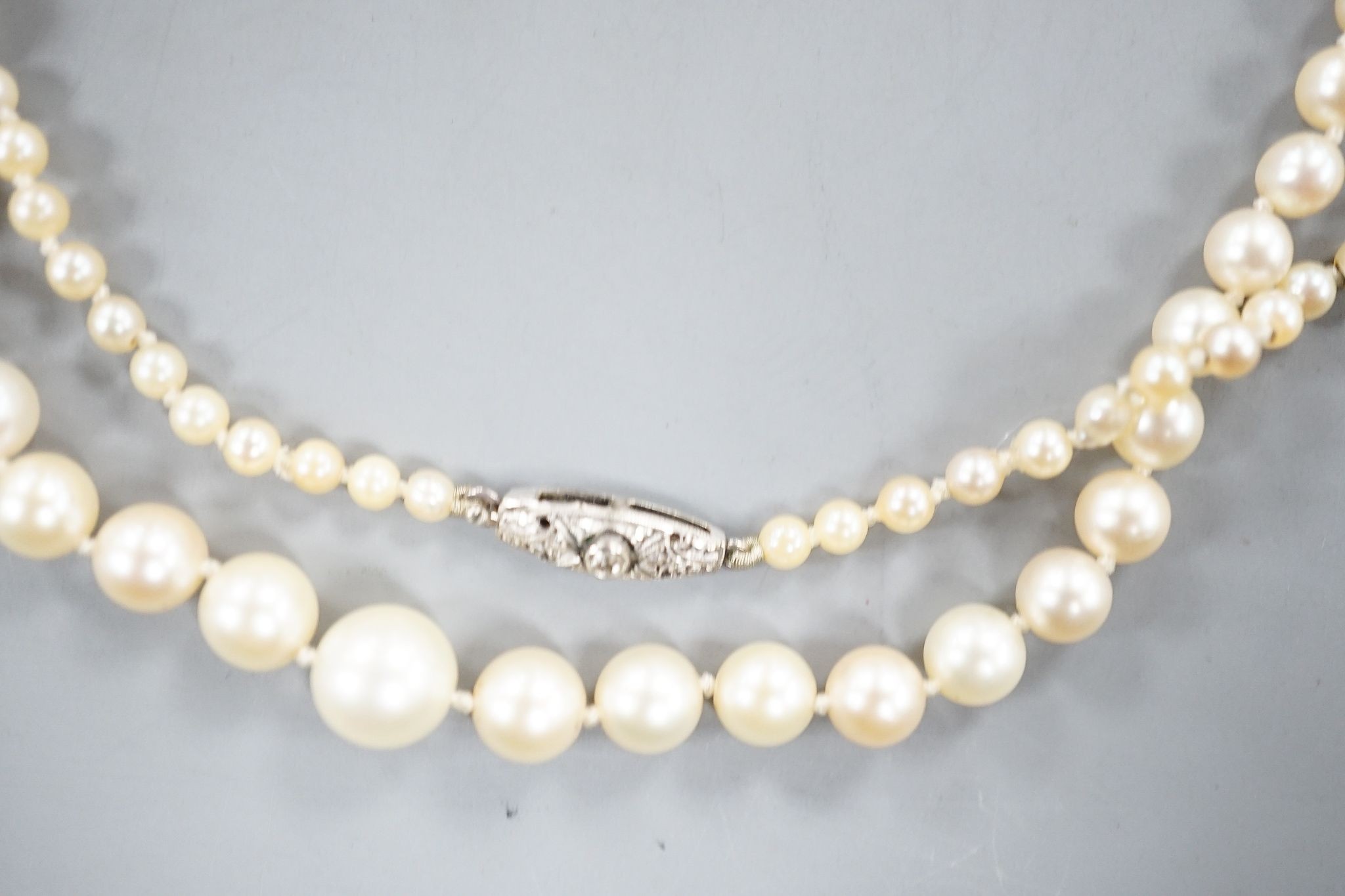 An early 20th century single strand graduated pearl necklace(not tested for natural or cultured), with diamond set white metal clasp, 49cm, largest pearl diameter 7.1mm, smallest 2.1mm, gross weight 10 grams.